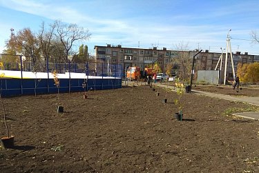 Осталось высадить большую ель